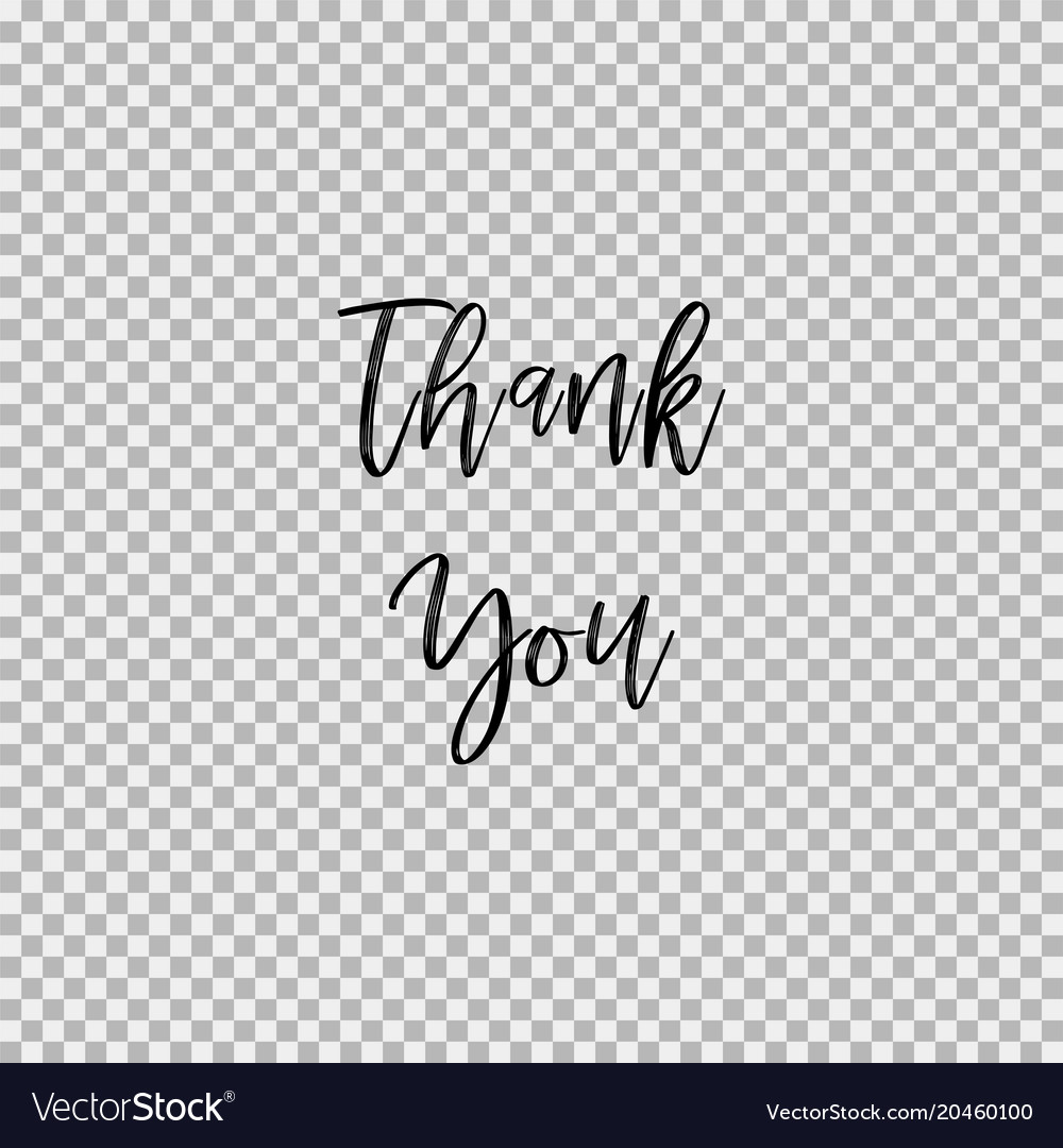 Thank you transparent background Royalty Free Vector Image