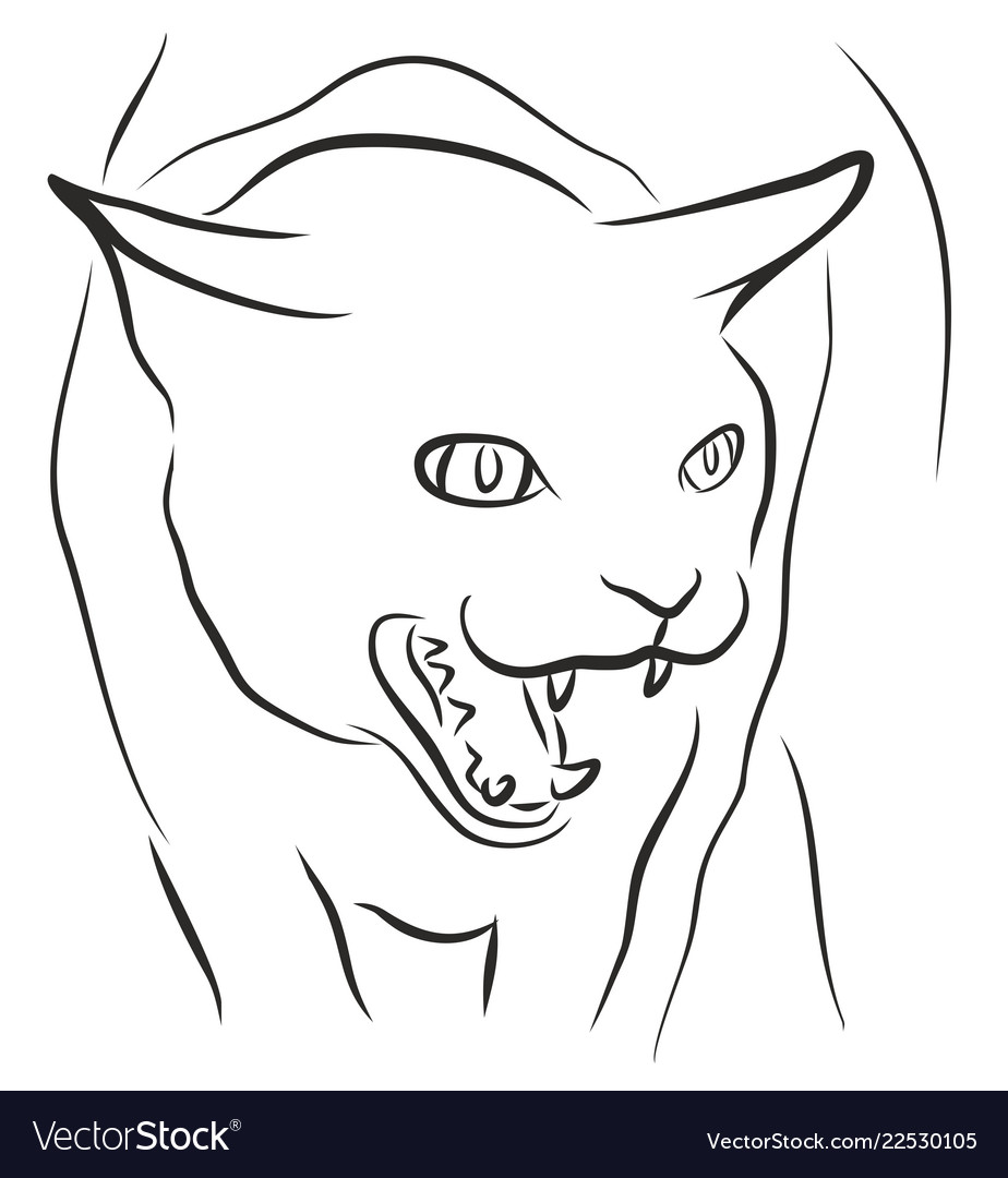 Angry Cat Black And White Drawing Vector Illustration Outline