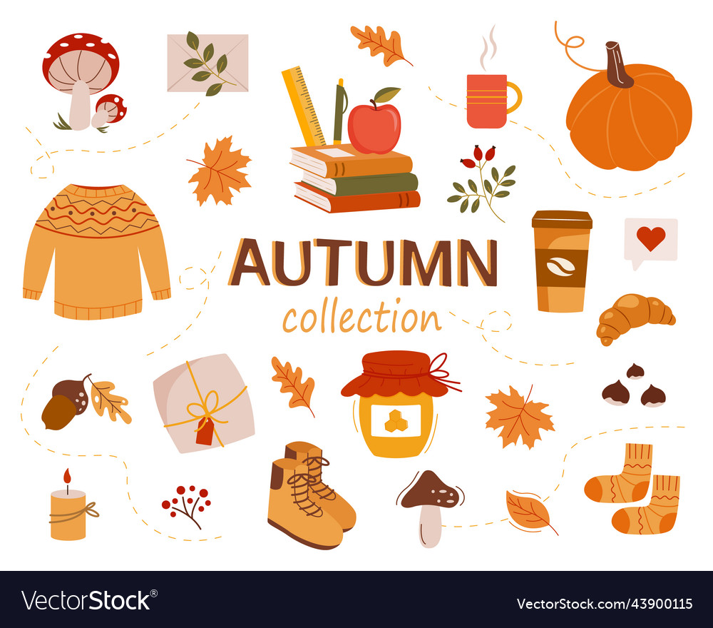 Autumn collection fall season cozy attributes Vector Image