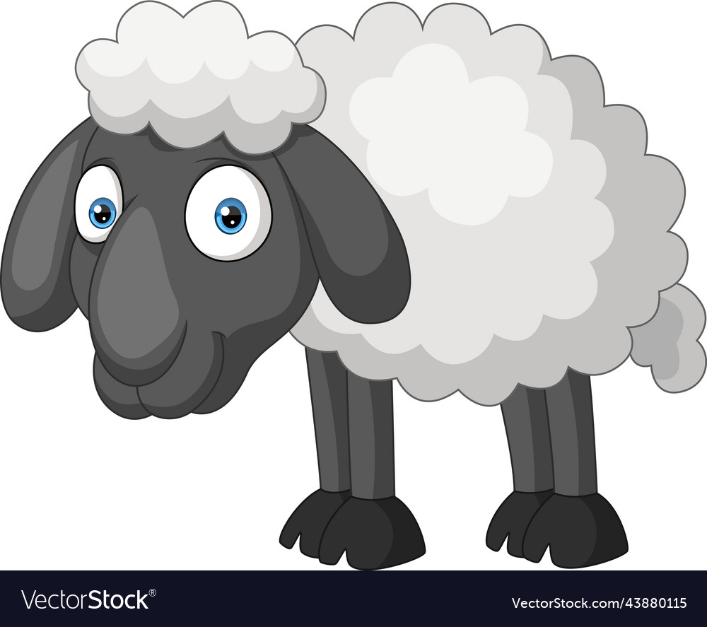 Cartoon sheep on white background Royalty Free Vector Image