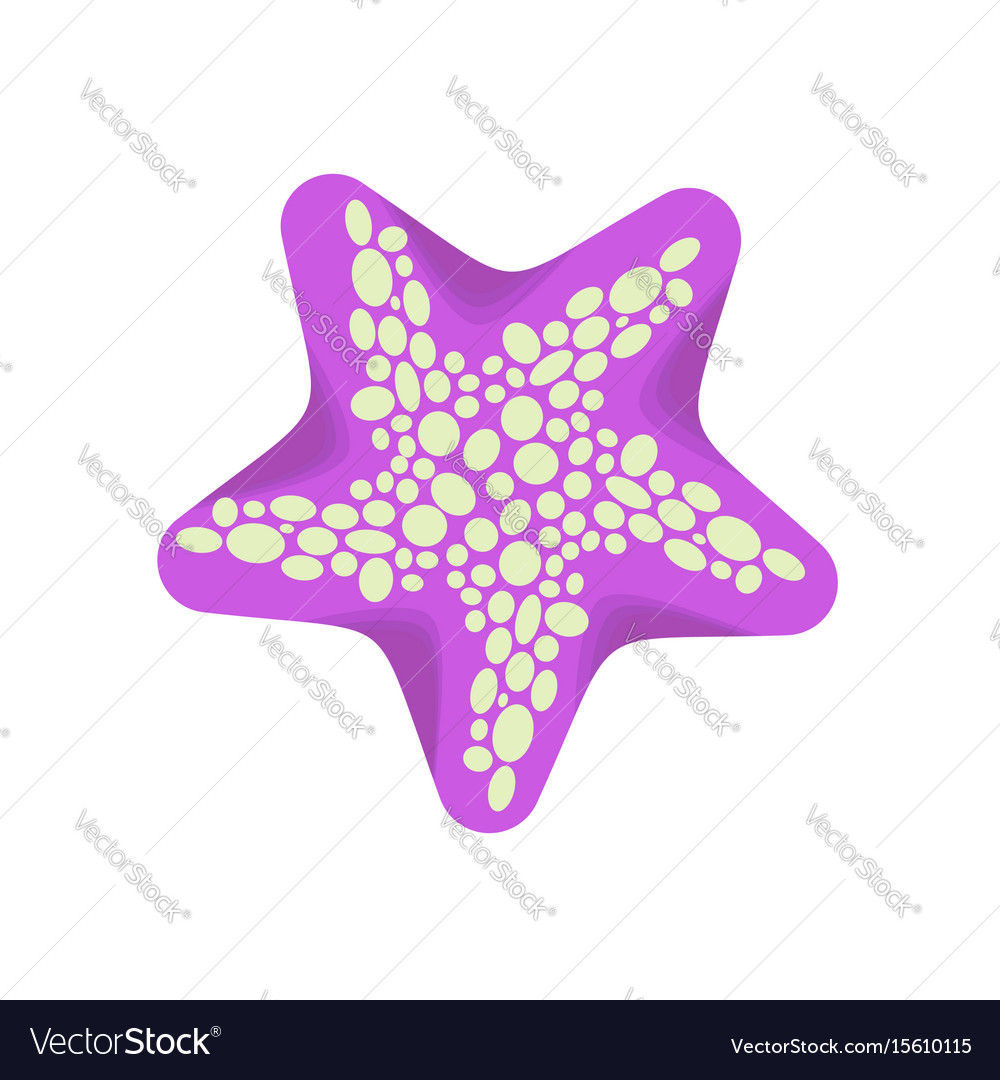Starfish isolated sea animals on white background Vector Image Starfish isolated sea animals on white background Vector Image