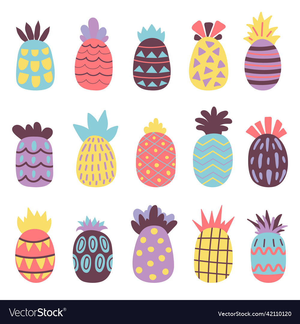 Abstract decorative pineapple contemporary design Vector Image