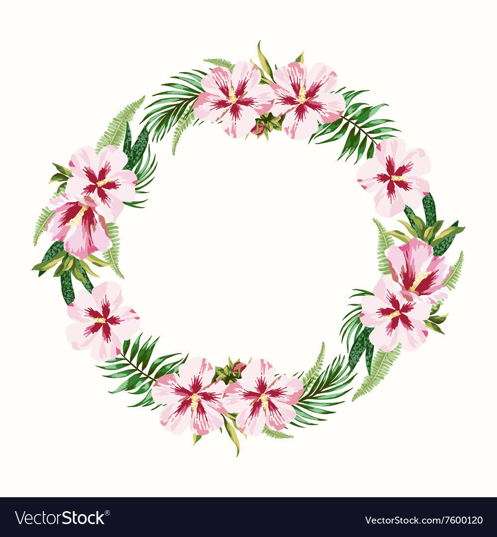 Around Frame With Pink Hibiscus Flowers Royalty Free Vector Around Frame With Pink Hibiscus Flowers Vector Image