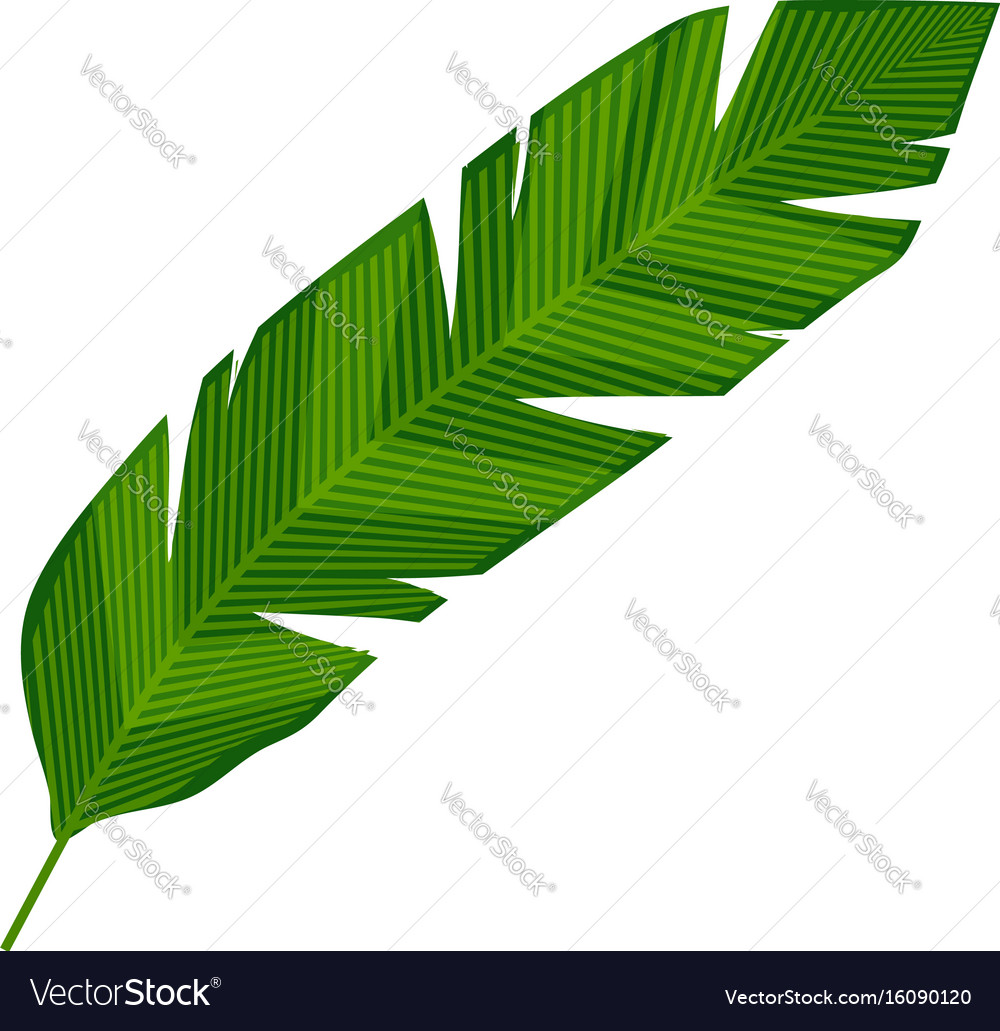 Cartoon Banana Leaves / Affordable and search from millions of royalty