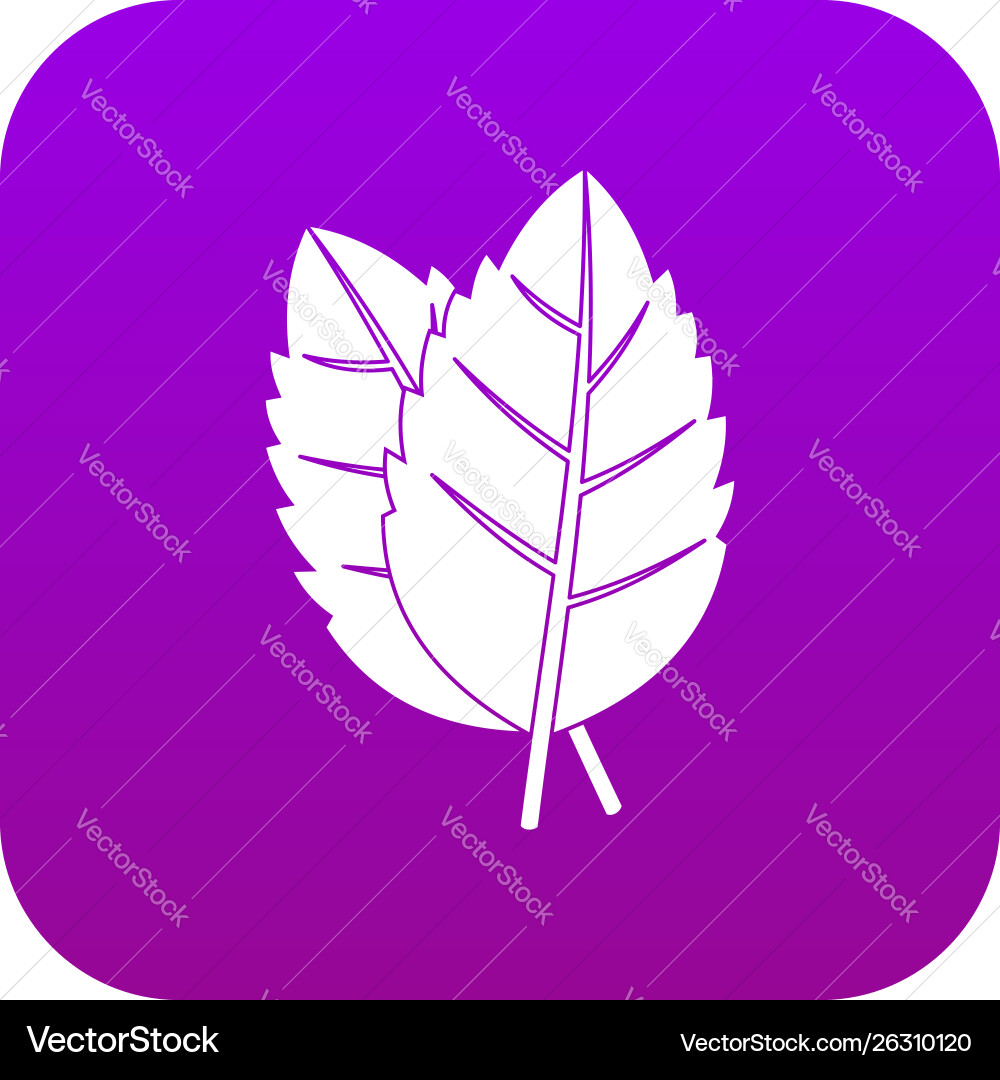 Two basil leaves icon digital purple Royalty Free Vector