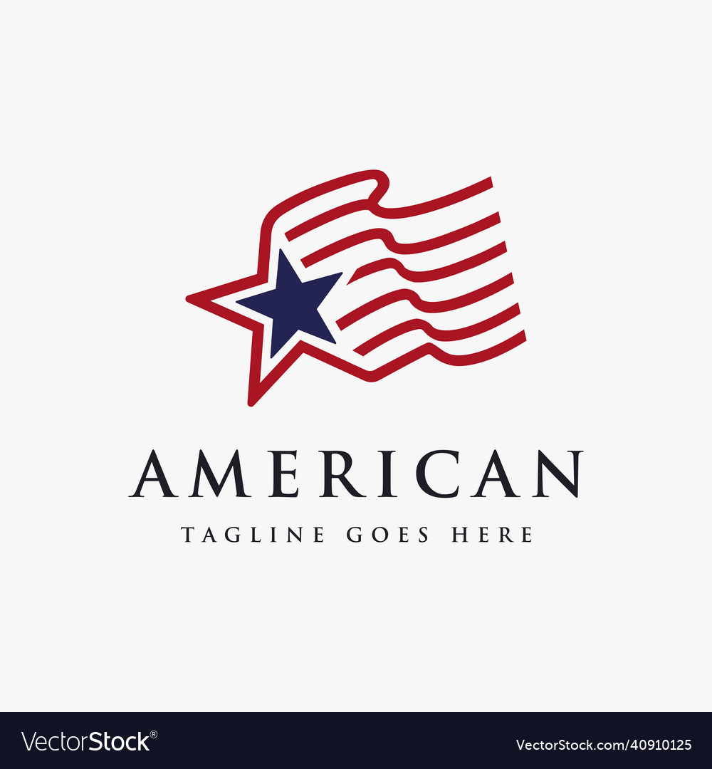 Abstract simple united states of america flag Vector Image