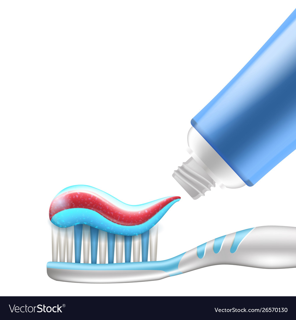 Toothpaste being applied to nylon bristles Vector Image