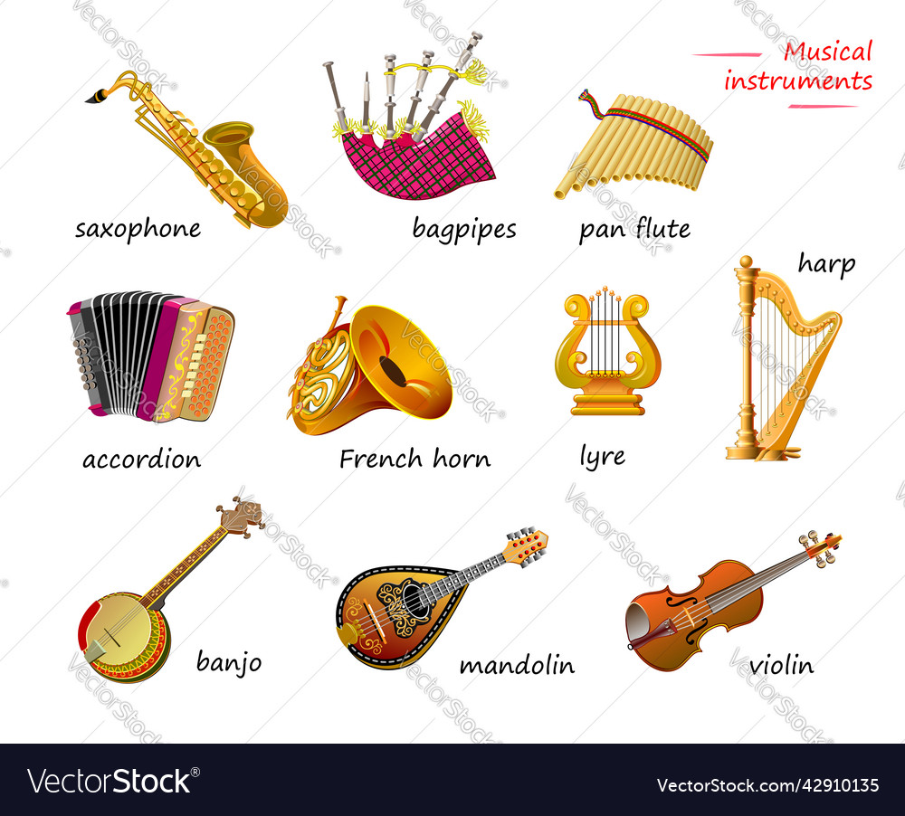 Musical Instruments List Of 30 Popular Types Of 55 OFF