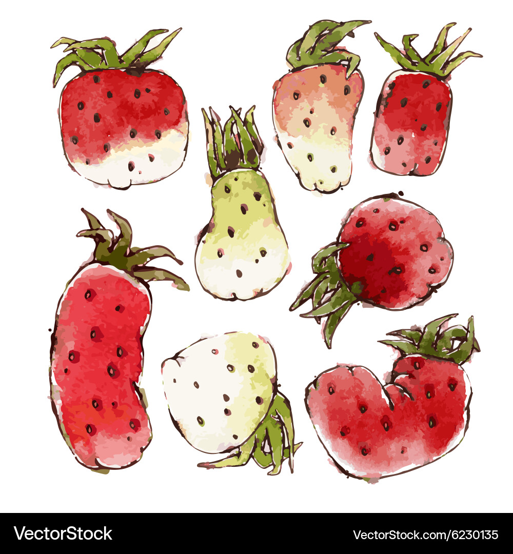 Strawberries Set Royalty Free Vector Image - VectorStock