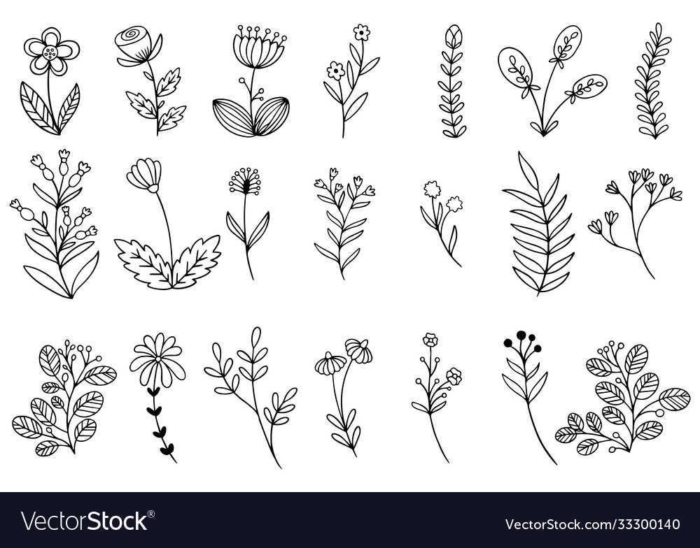 Hand Drawn Flowers Doodle Royalty Free Vector Image