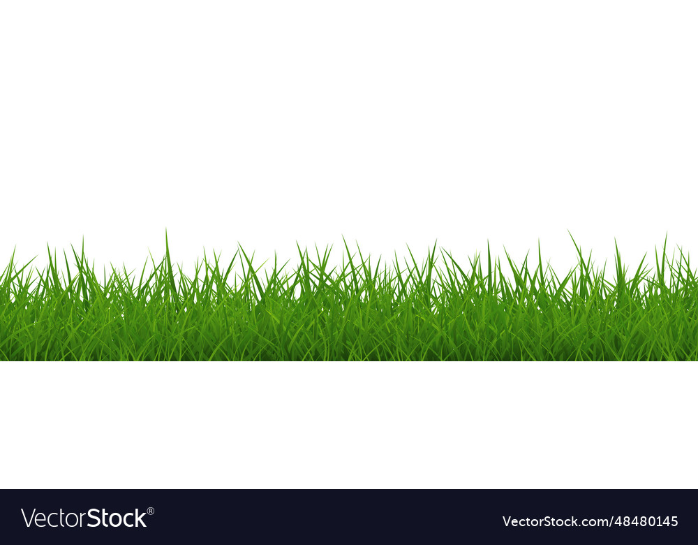 Green thick grass repeat border isolated Vector Image