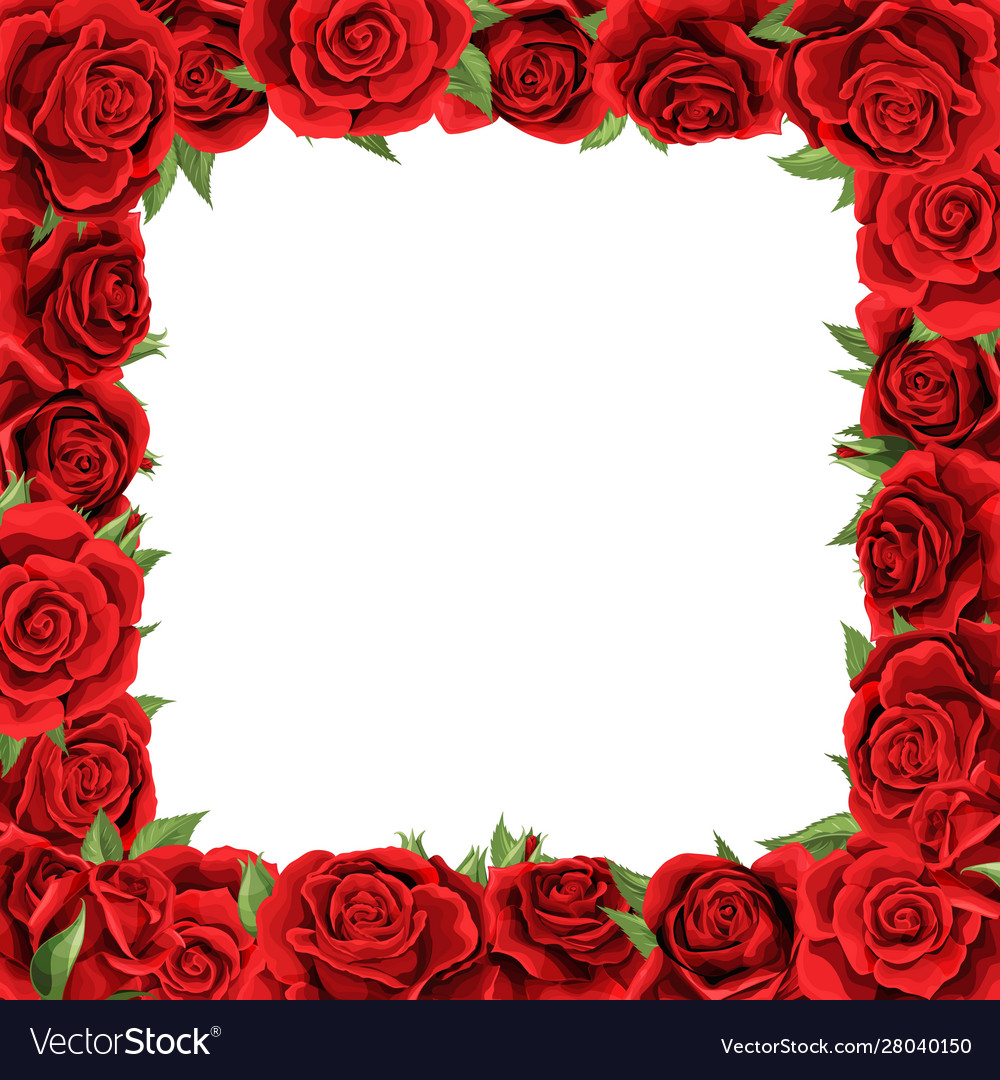 Elegant red roses and green leaves floral bouquet Vector Image