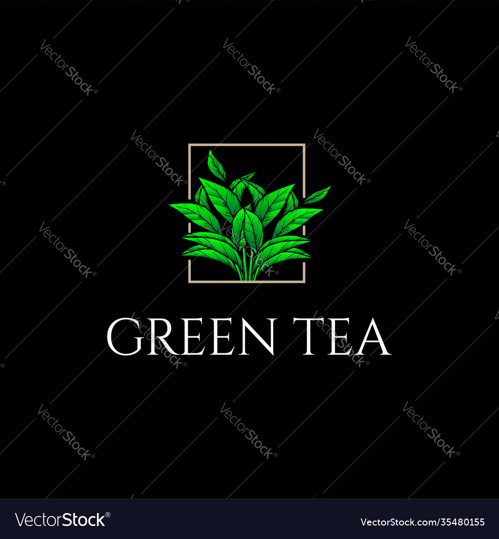 Elegant green tea leaf leaves logo design Vector Image