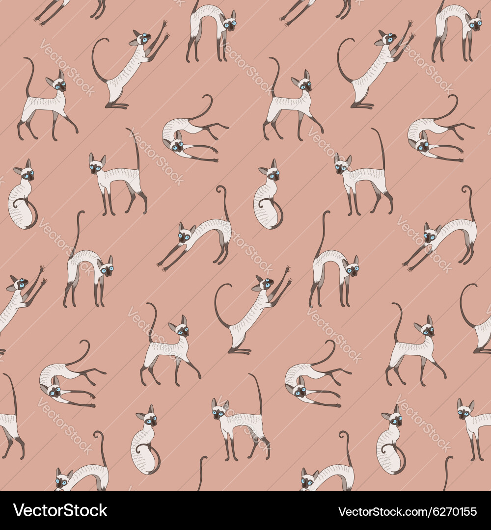 Pattern cats Royalty Free Vector Image - VectorStock