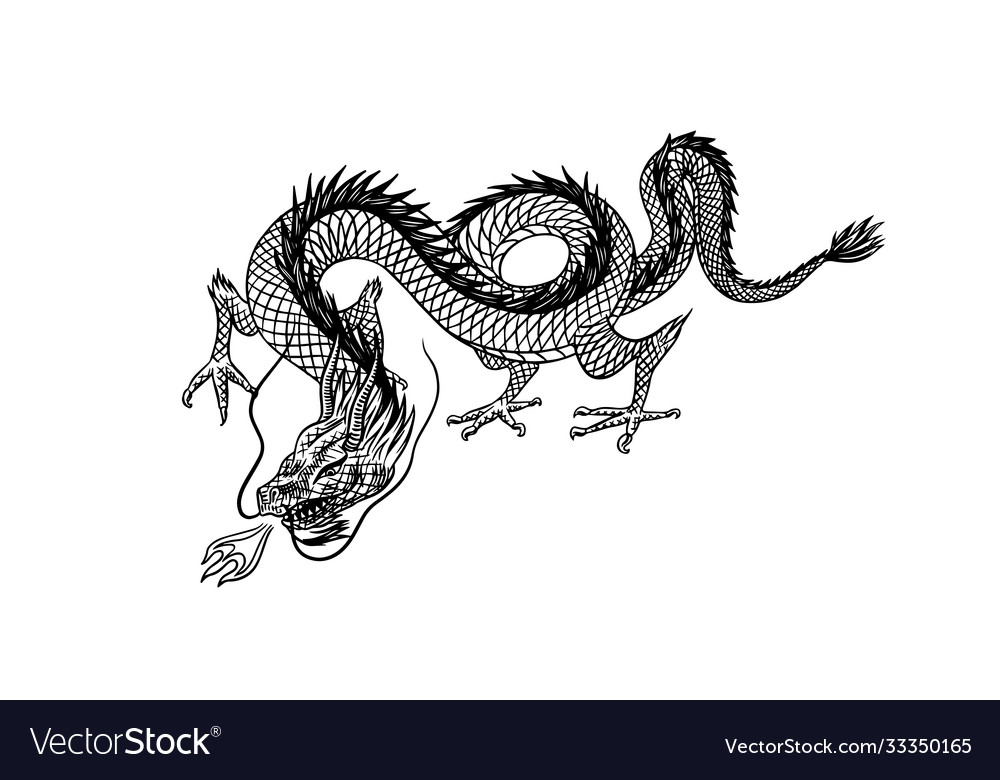 Chinese Dragon Mythological Animal Or Asian Vector Image