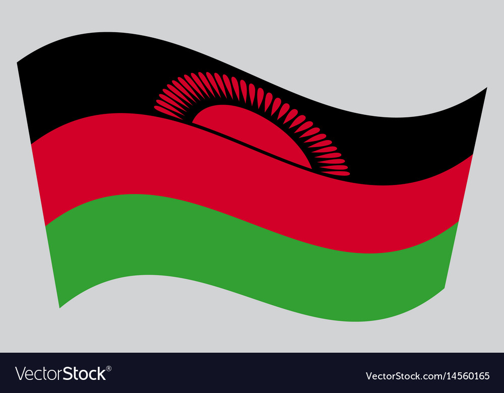 Flag Of Malawi Waving On Gray Background Vector Image