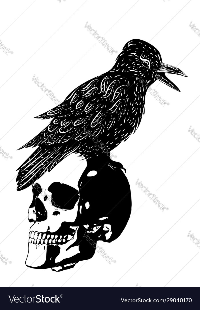 Grunge human skull with raven Royalty Free Vector Image