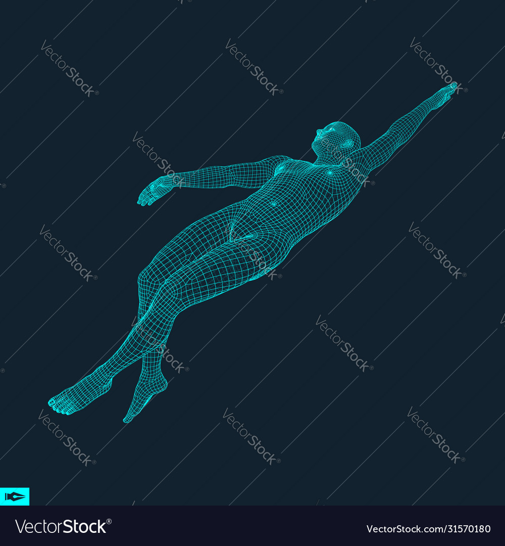 векторный бассейн. Swimmer 3d model. Swimming 3d. пловец 3d модель. Swimming 3d.