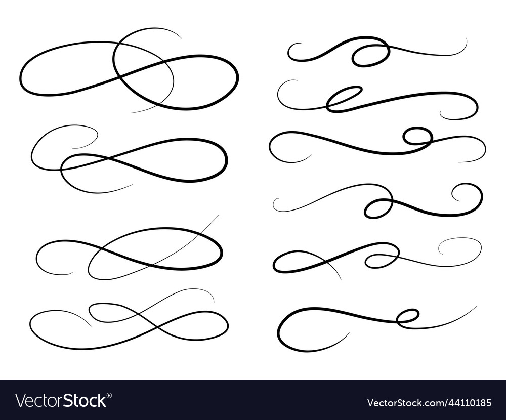 Calligraphic Swoosh Vector & Photo (Free Trial)