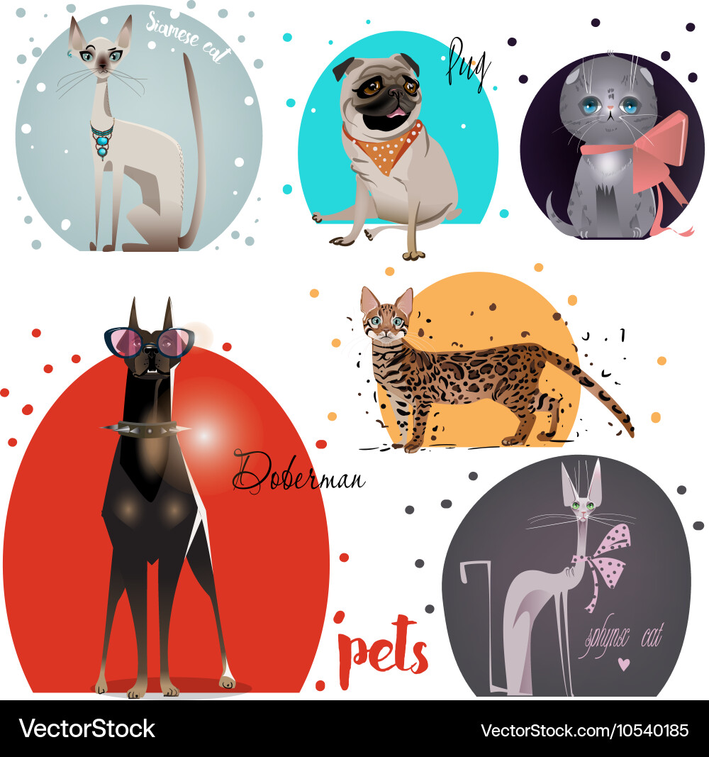 Set with pets Royalty Free Vector Image - VectorStock