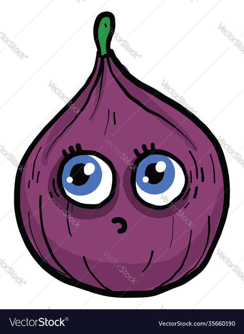 Small fig with green stem on white background Vector Image