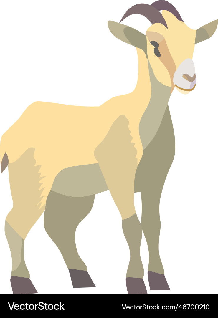 Flat goat Royalty Free Vector Image - VectorStock