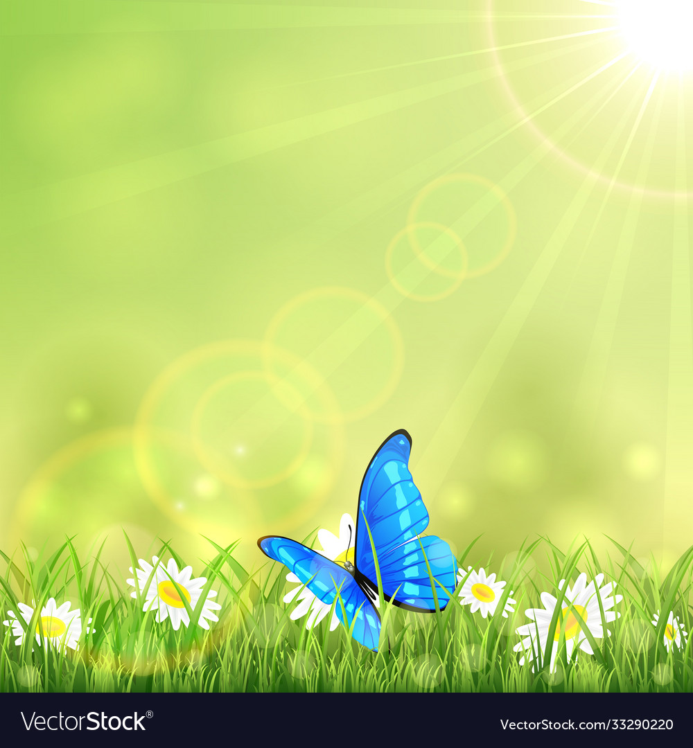 Blue butterfly and flower Royalty Free Vector Image