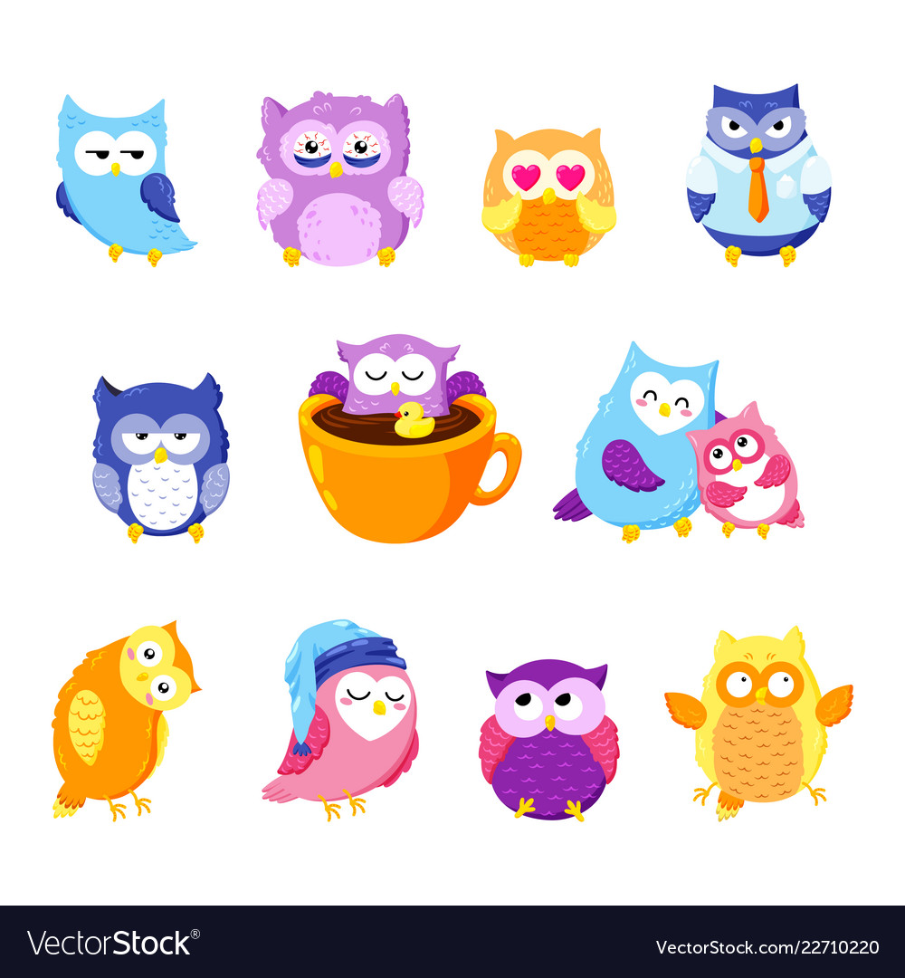 Collection of cute owls cartoon characters