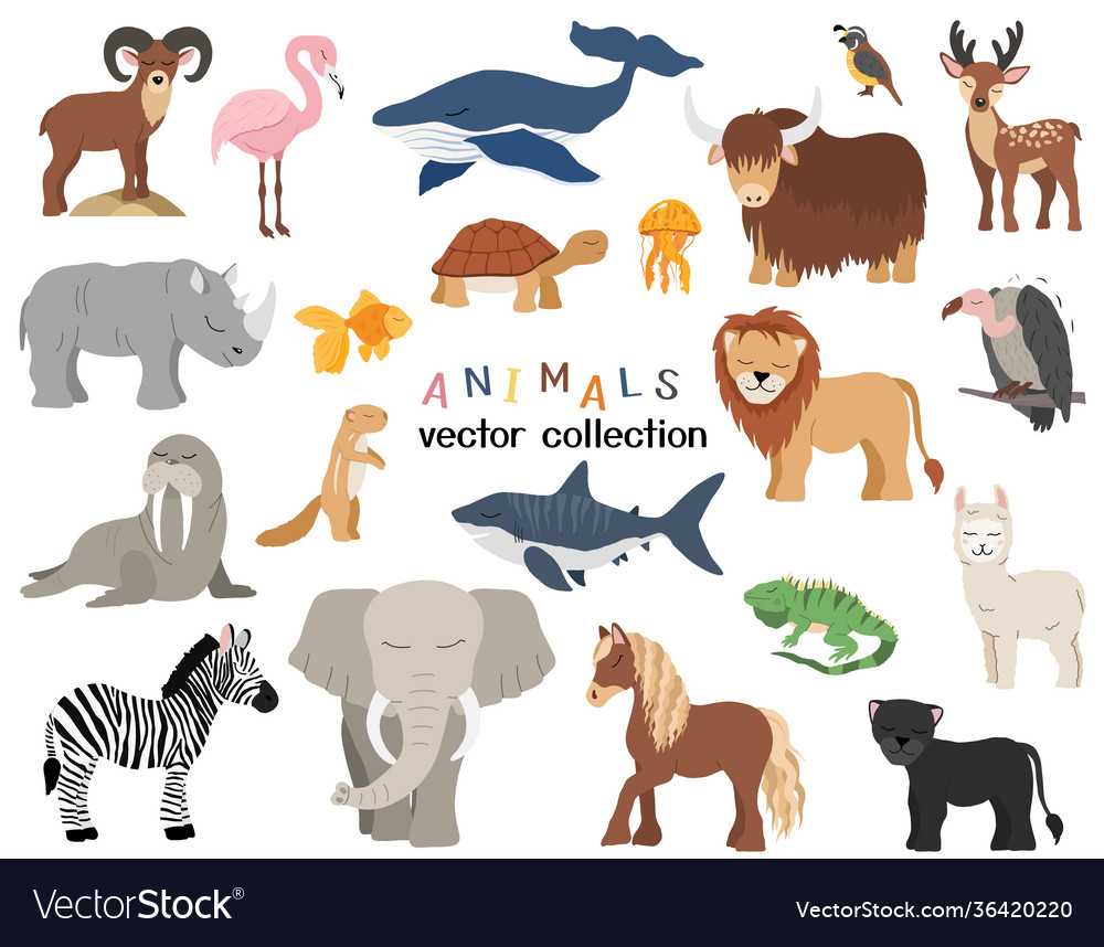 Cute animals set Royalty Free Vector Image - VectorStock Cute animals set Royalty Free Vector Image - VectorStock