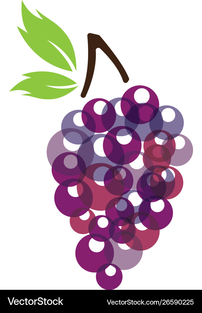 Grape with leaf icon Royalty Free Vector Image