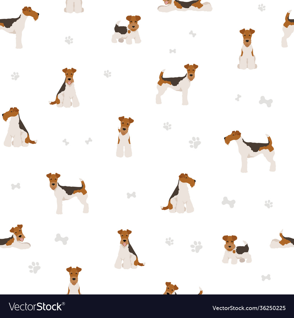 Wire fox terrier seamless pattern different poses Vector Image