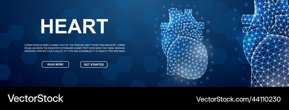 Heart polygonal horizontal banner cardiology low Vector Image