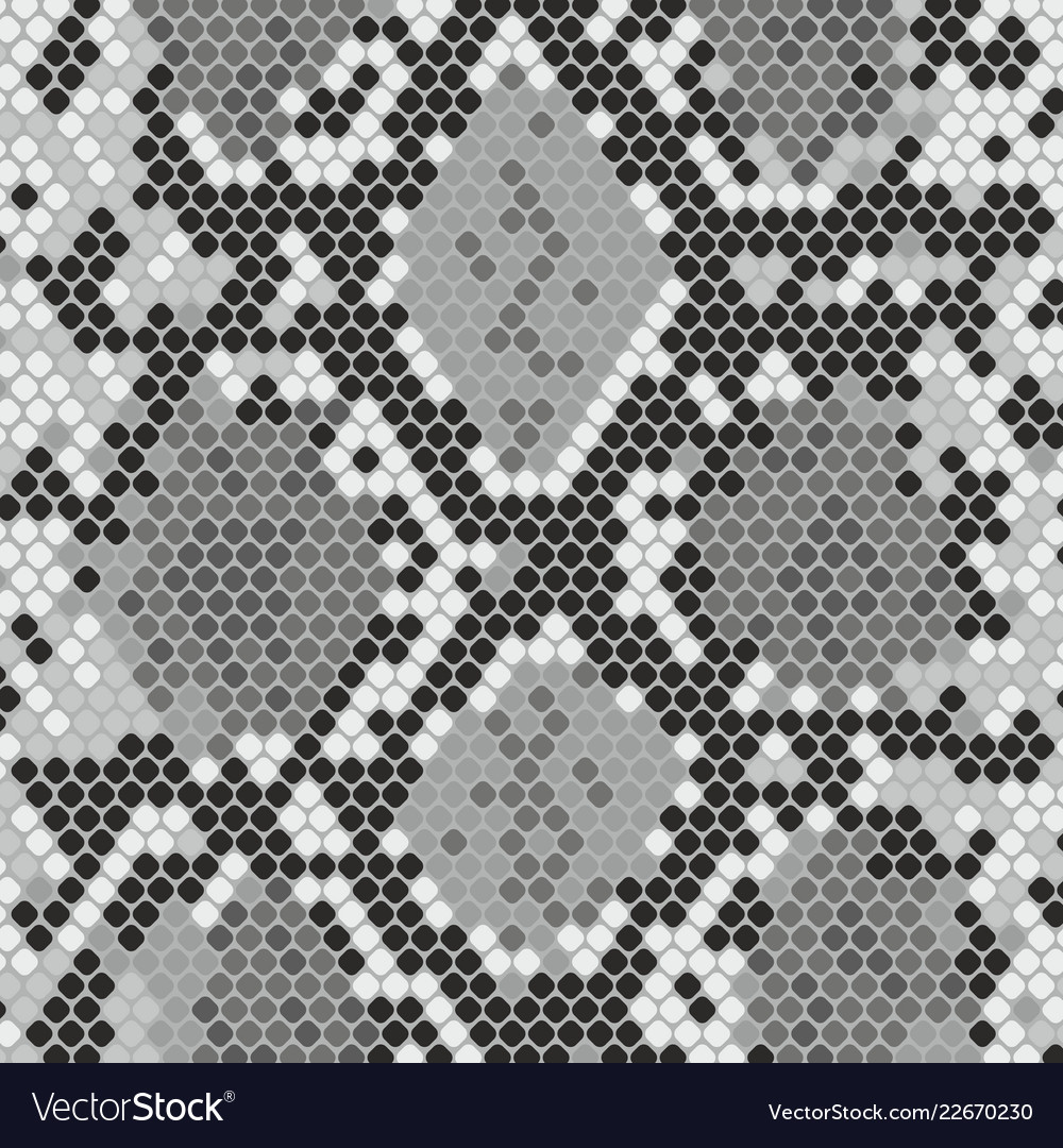 Snake skin texture with imitation python skin Vector Image