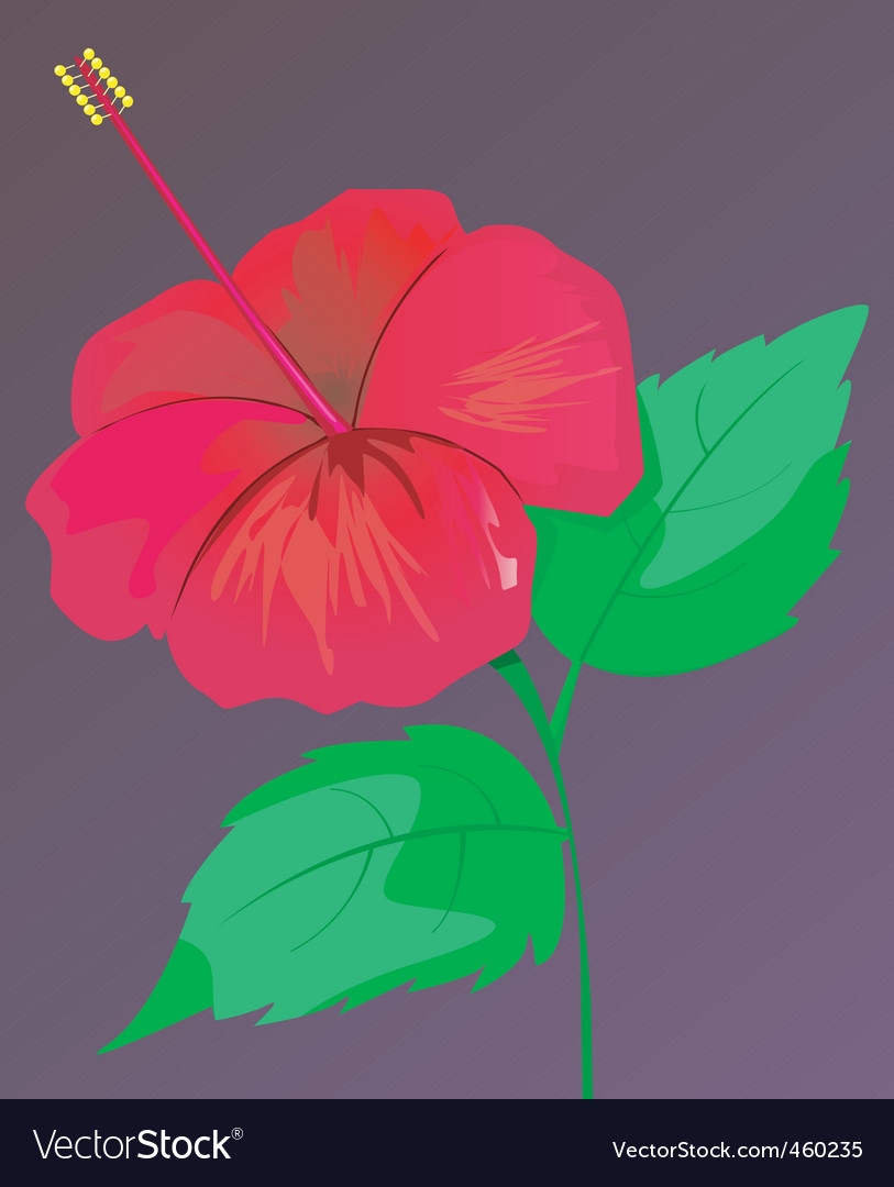 Leaf with flower Royalty Free Vector Image - VectorStock