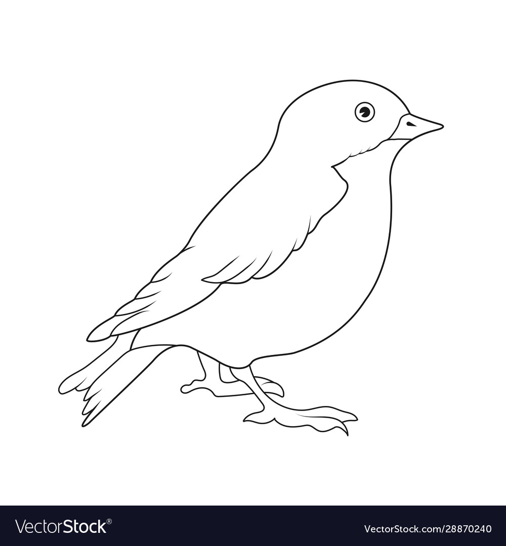 Empty outline a bird isolated on white Royalty Free Vector