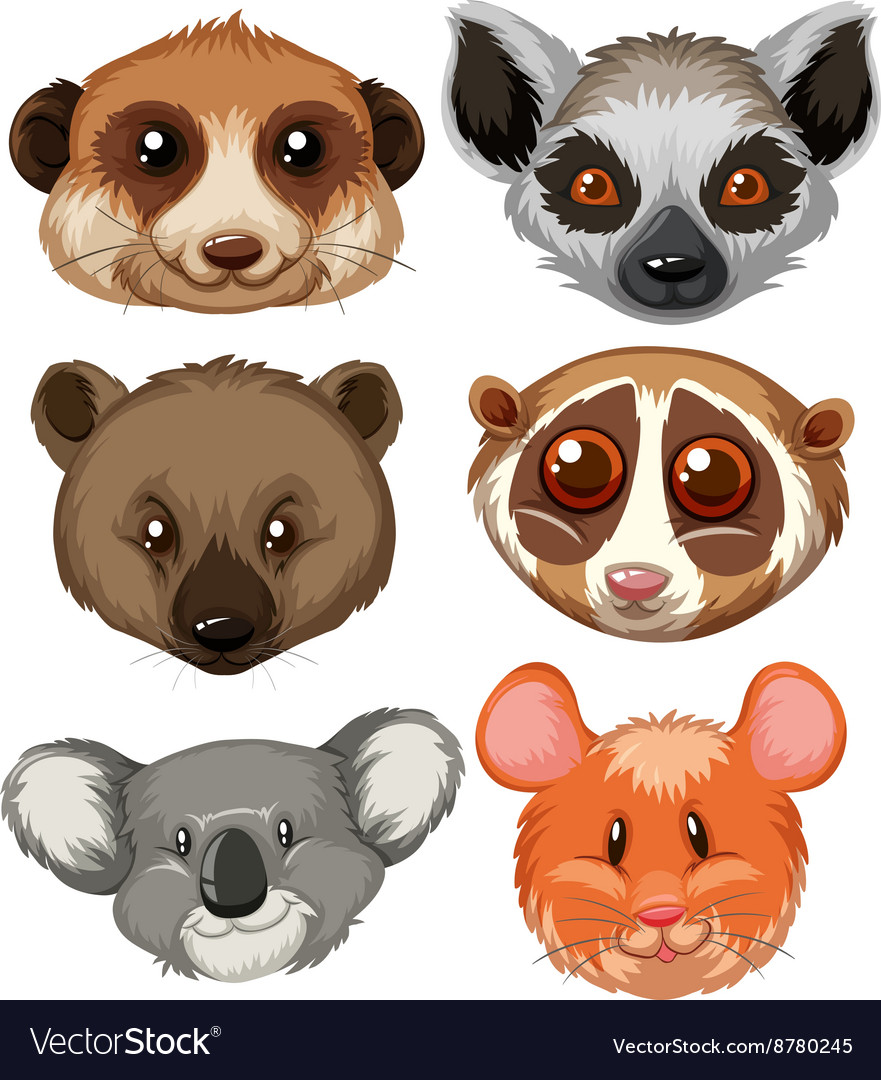 Different type of animal heads Royalty Free Vector Image Different type of animal heads Royalty Free Vector Image