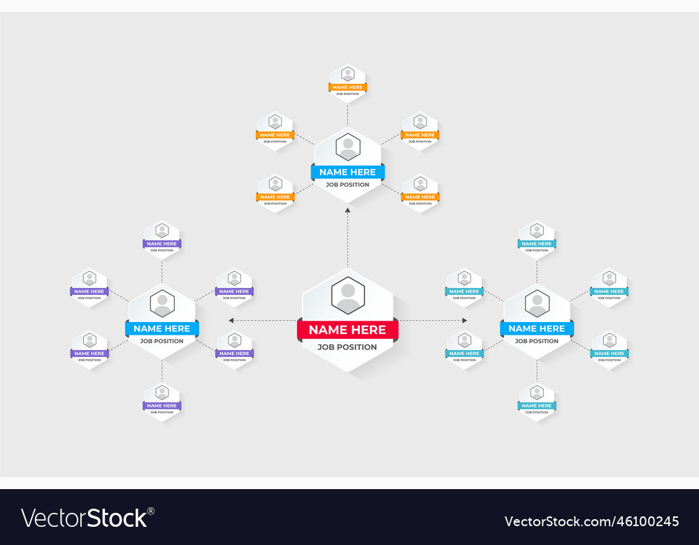 job-position-and-office-management-chart-vector-image