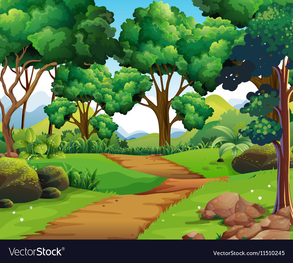 Nature scene with hiking track and trees Vector Image