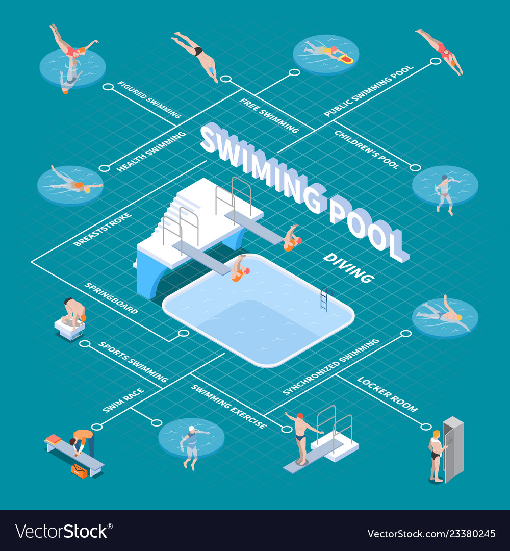 Public swimming pool isometric flowchart Vector Image