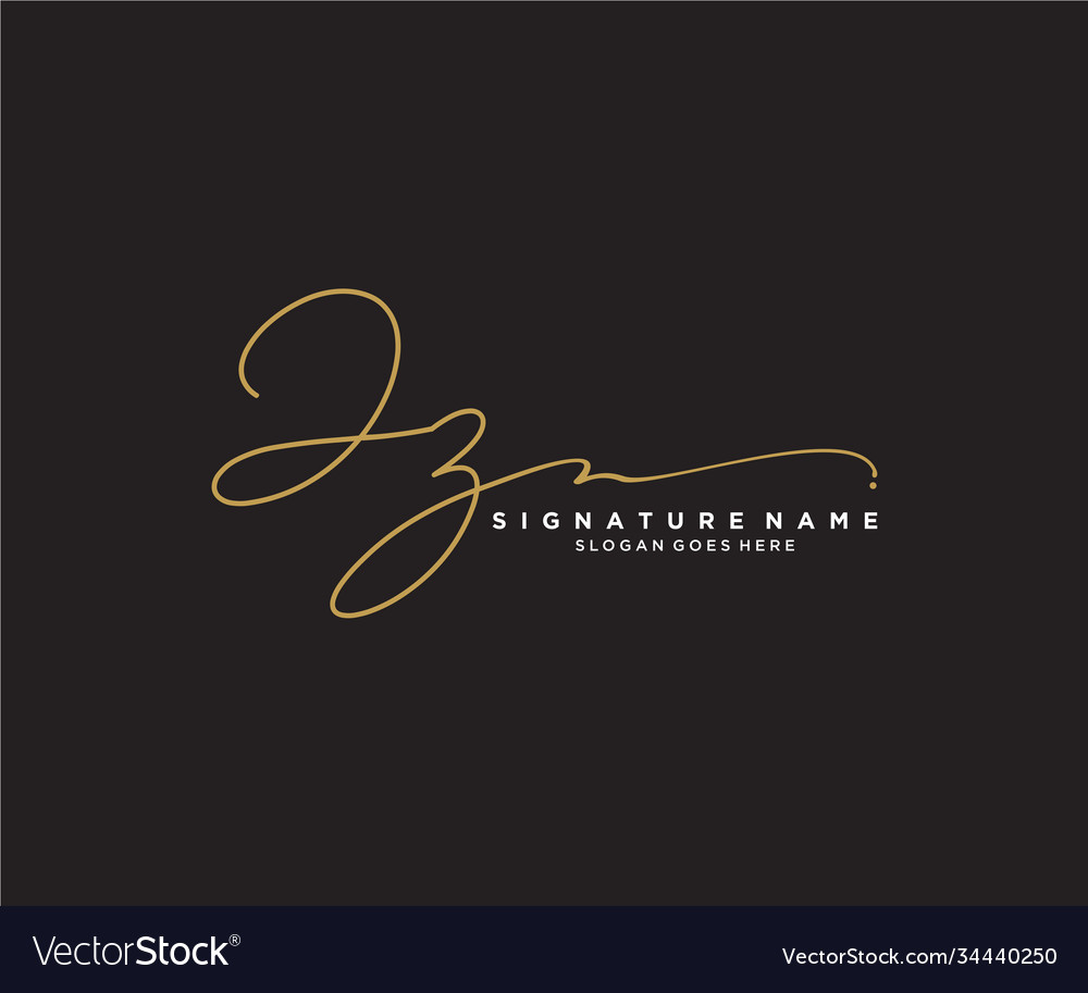 Letter Jz Signature Logo Template Royalty Free Vector Image