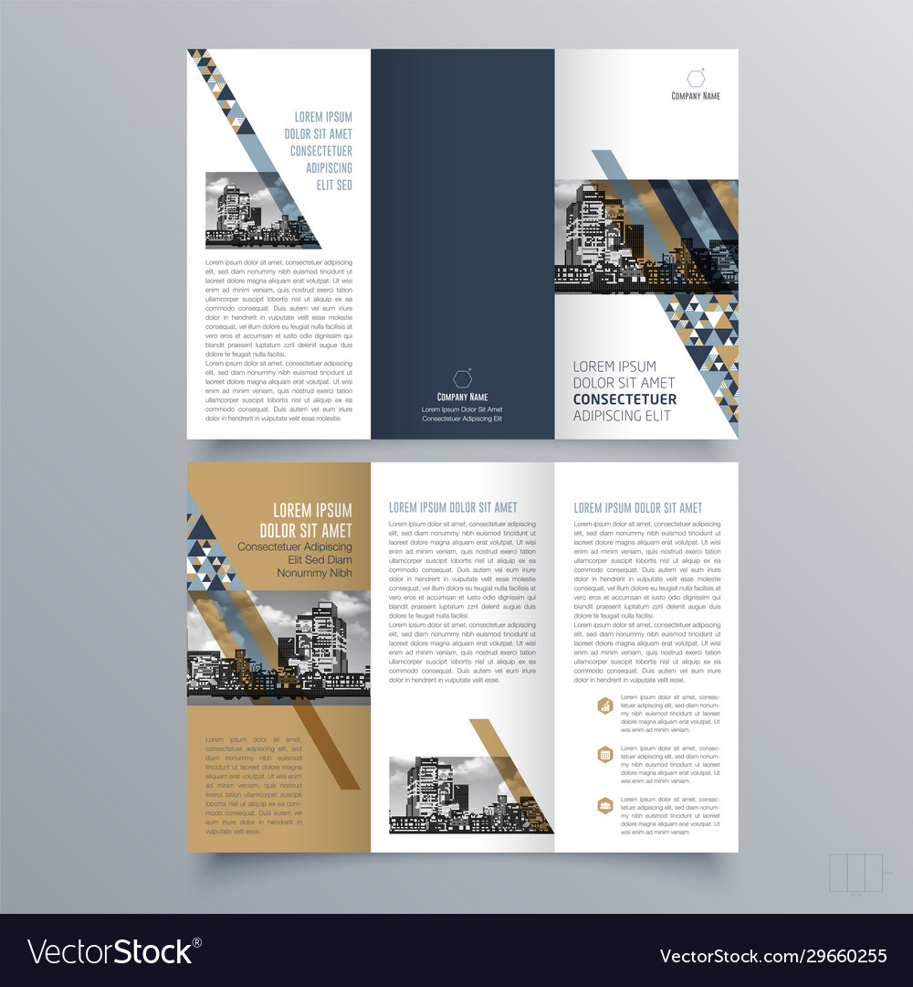 Brochure design 1602 Royalty Free Vector Image