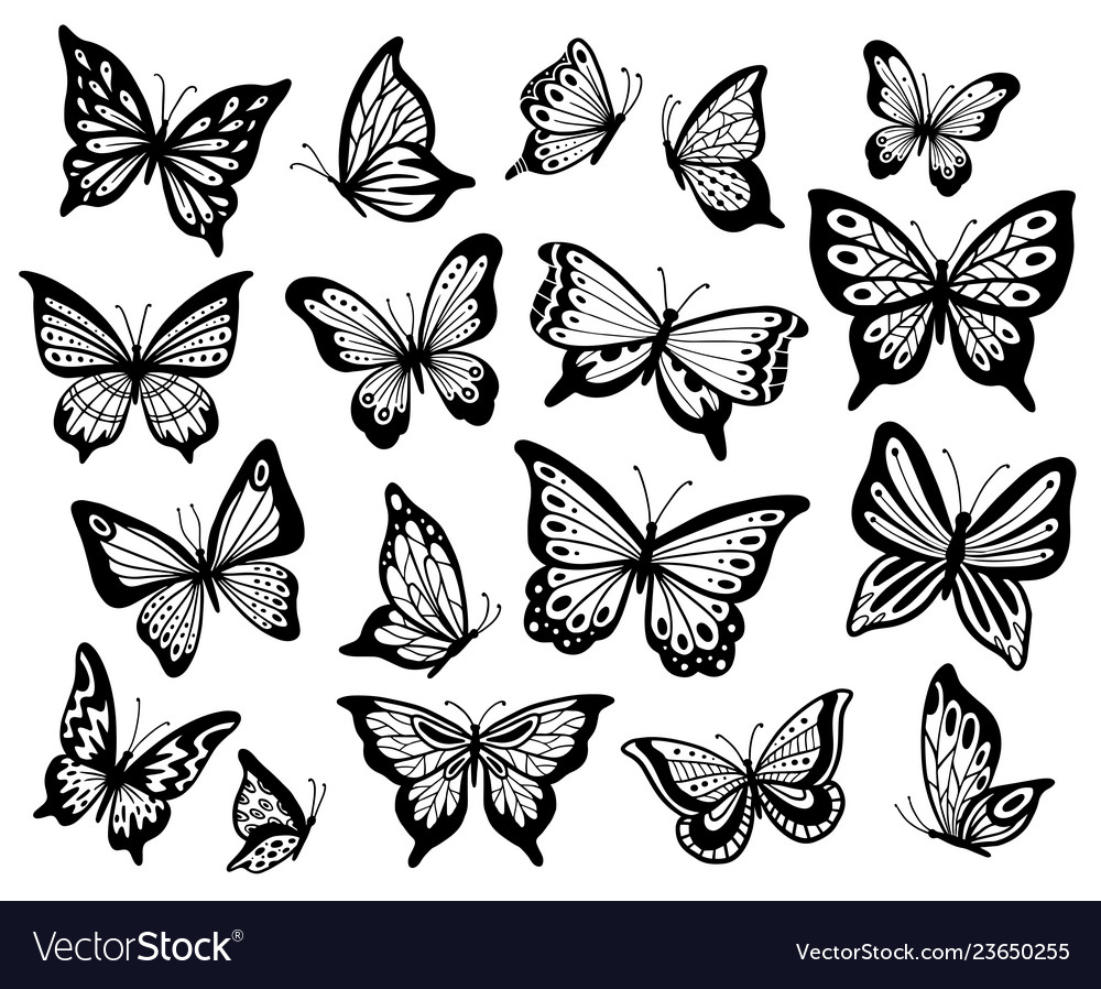 pictures to draw of butterflies