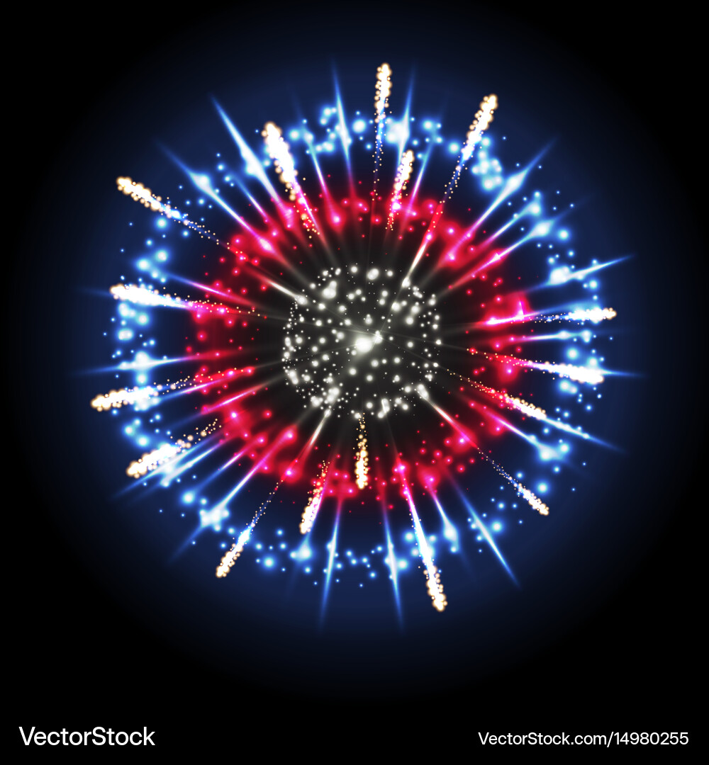Holiday firework Royalty Free Vector Image - VectorStock