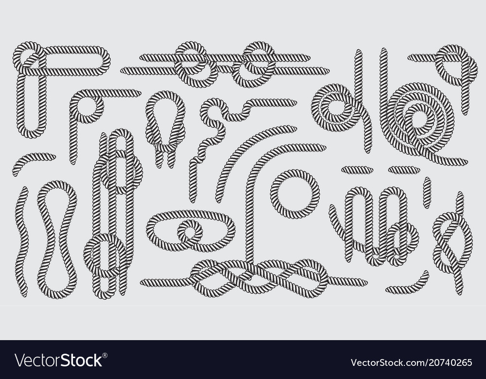 Big Set Of Nautical Rope Knots Decorative Vintage Vector Image