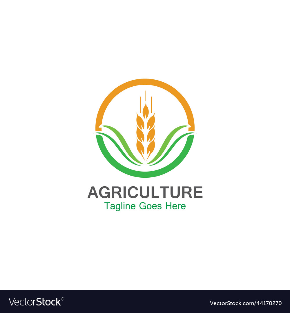 Agriculture wheat logo template icon design Vector Image