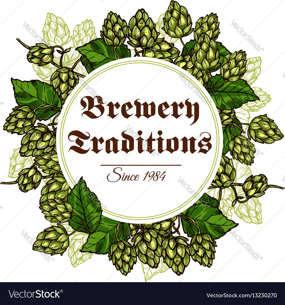 Hop branches and cones poster Royalty Free Vector Image