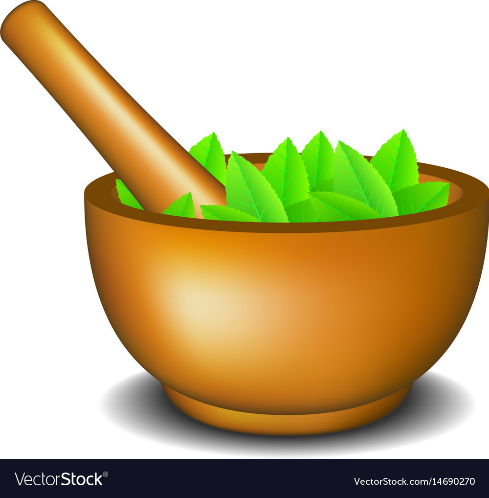 Mortar with pestle and leaves Royalty Free Vector Image