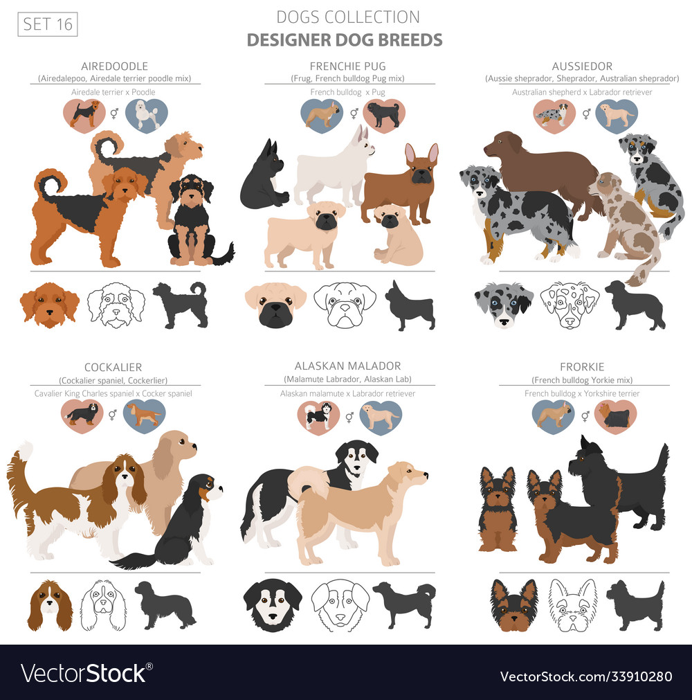 Dog setting