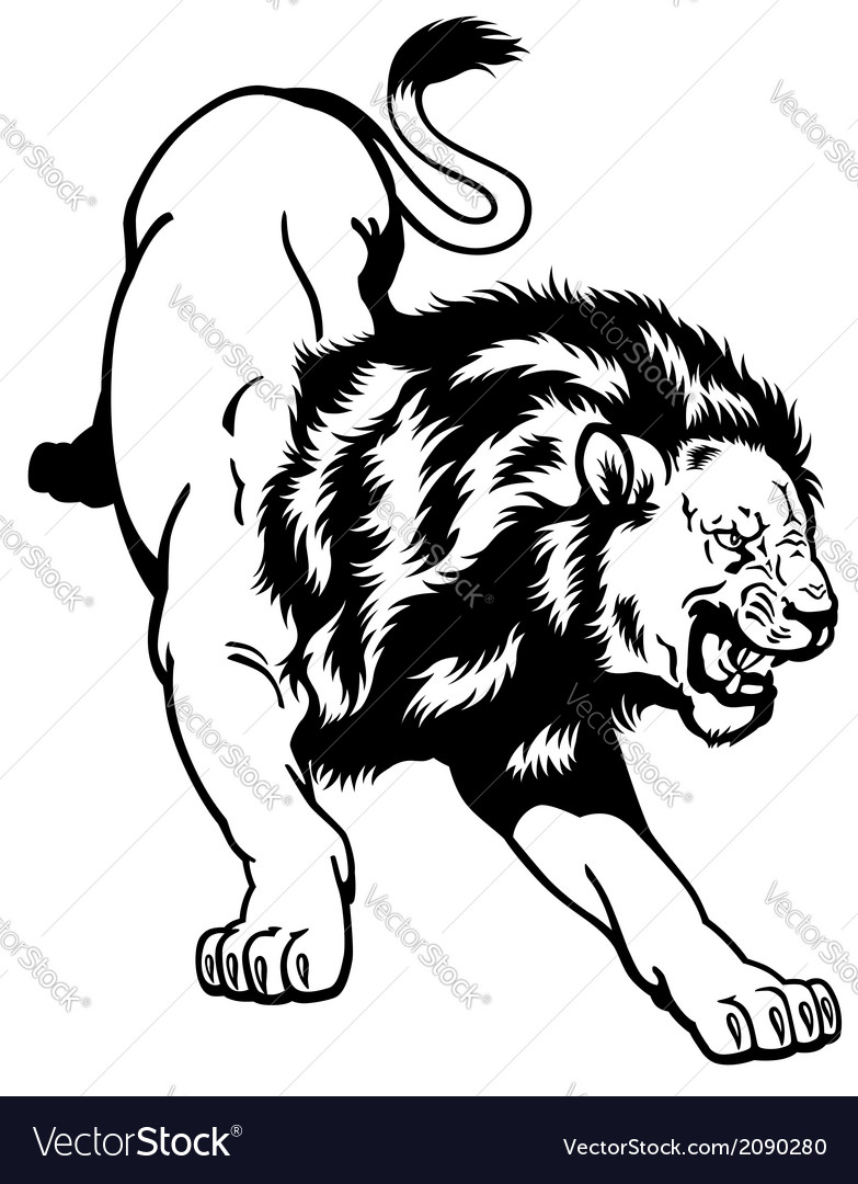 Lion Black And White Royalty Free Vector Image