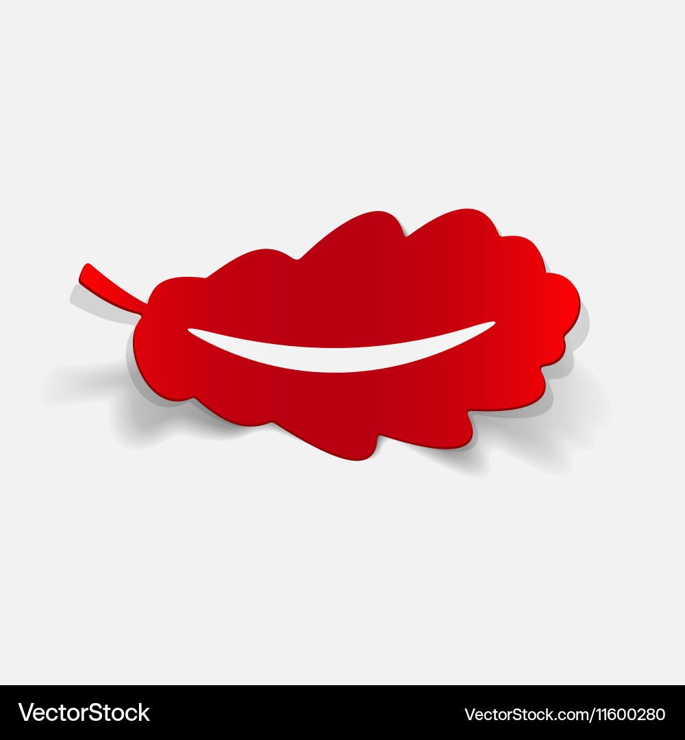 Realistic design element Royalty Free Vector Image